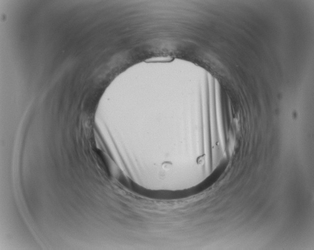 X0000060550037200511241236