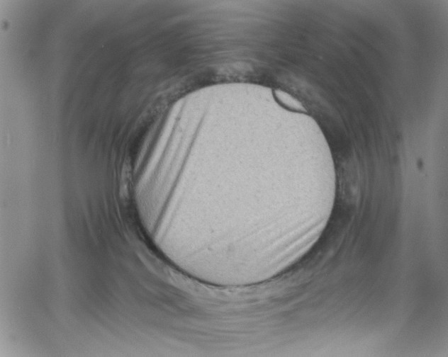 X0000060550038200511241236