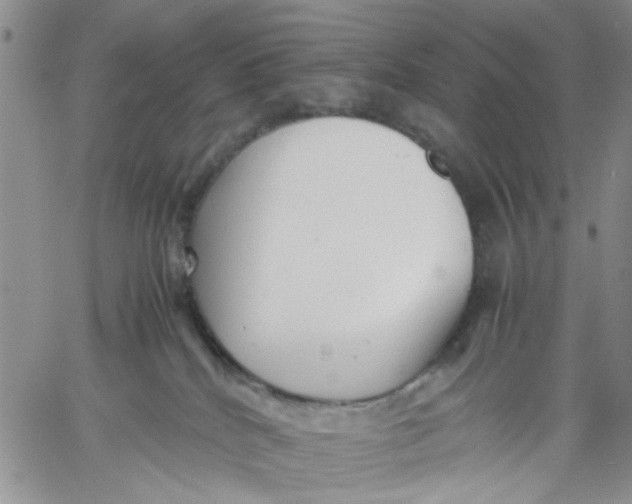 X0000060550040200511241236