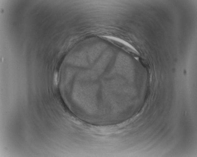 X0000060550041200511241236