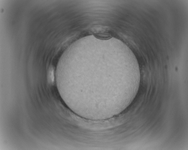 X0000060550042200511241236