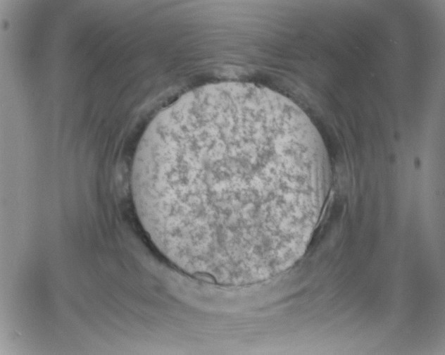 X0000060550043200511241236