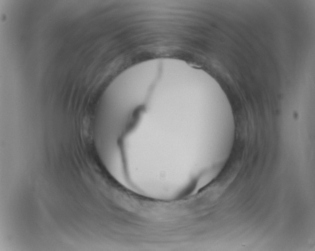 X0000060550044200511241236