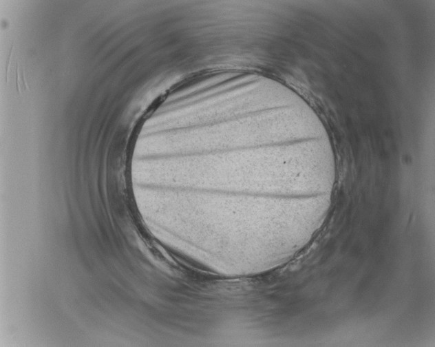 X0000060550050200511241235