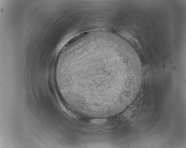 X0000060550051200511241235