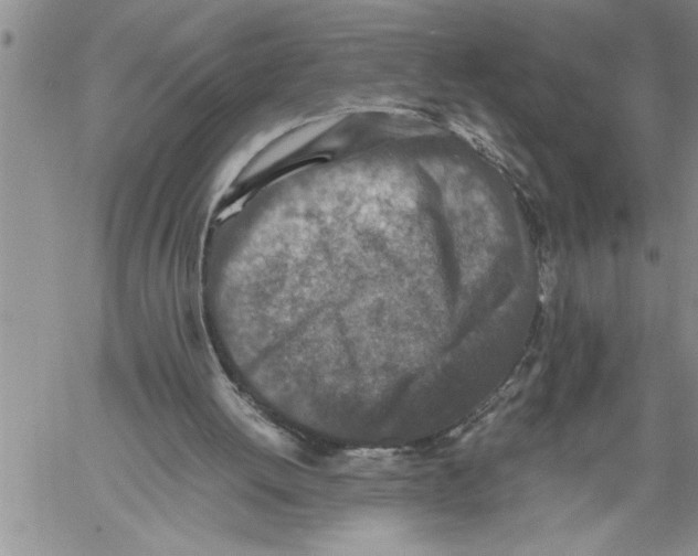 X0000060550052200511241235