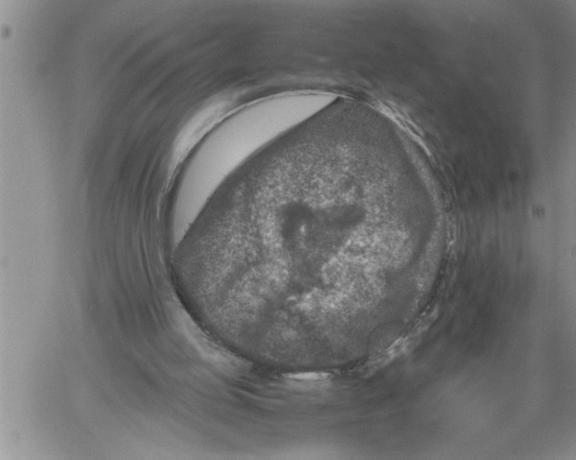 X0000060550053200511241235