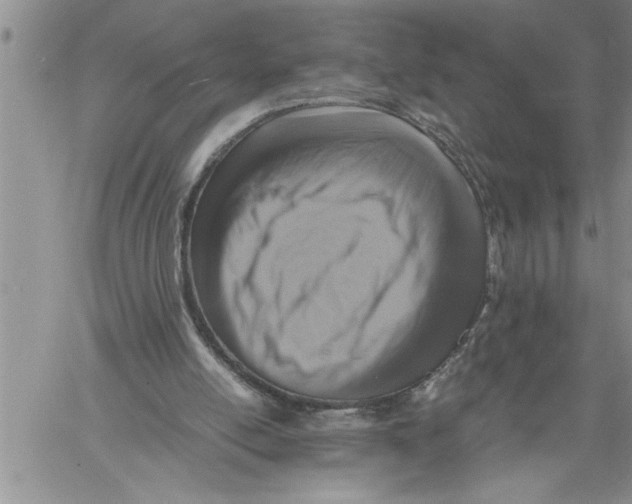 X0000060550054200511241235