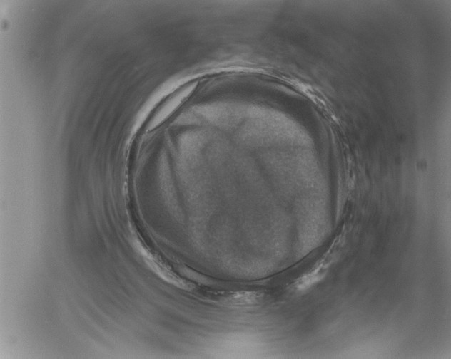 X0000060550056200511241235