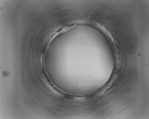 X0000060550057200511241235