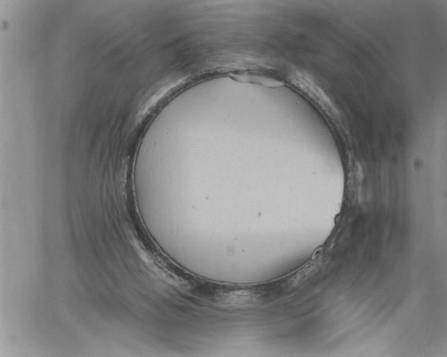 X0000060550058200511241235