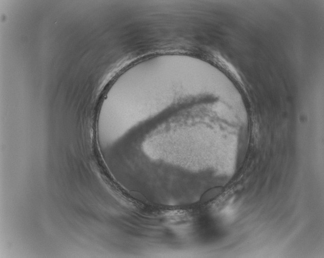 X0000060550059200511241235