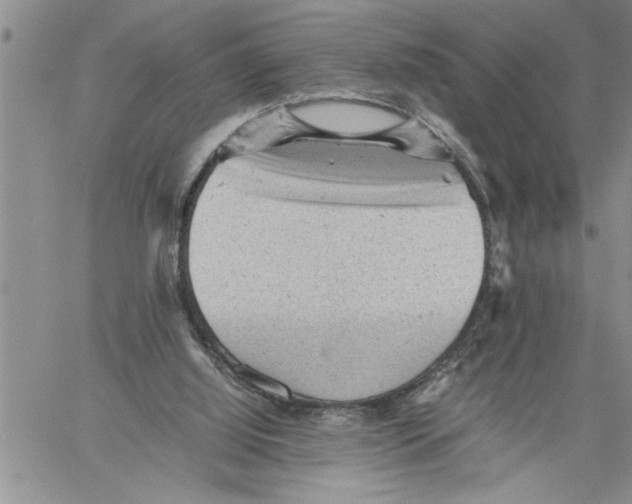 X0000060550060200511241235