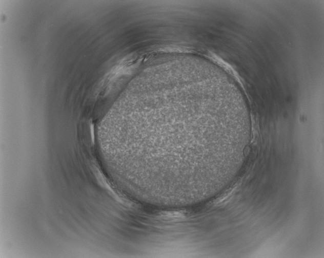 X0000060550061200511241235