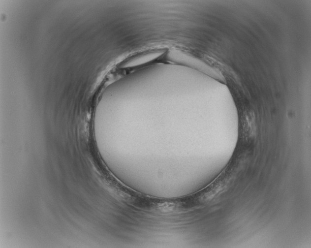 X0000060550064200511241236