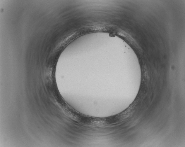 X0000060550066200511241236