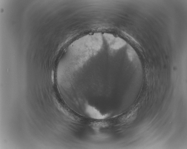 X0000060550067200511241236