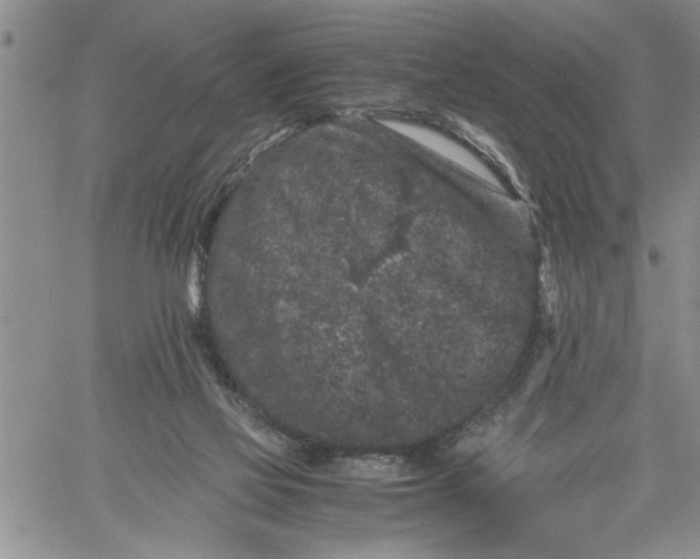 X0000060550069200511241236