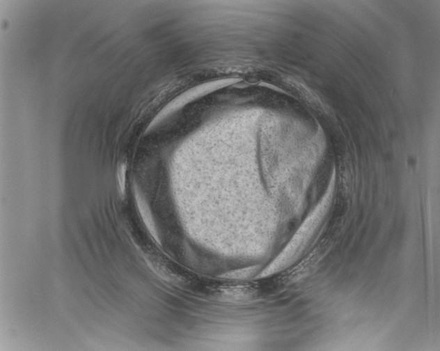 X0000060550070200511241236