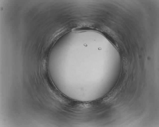 X0000060550071200511241236