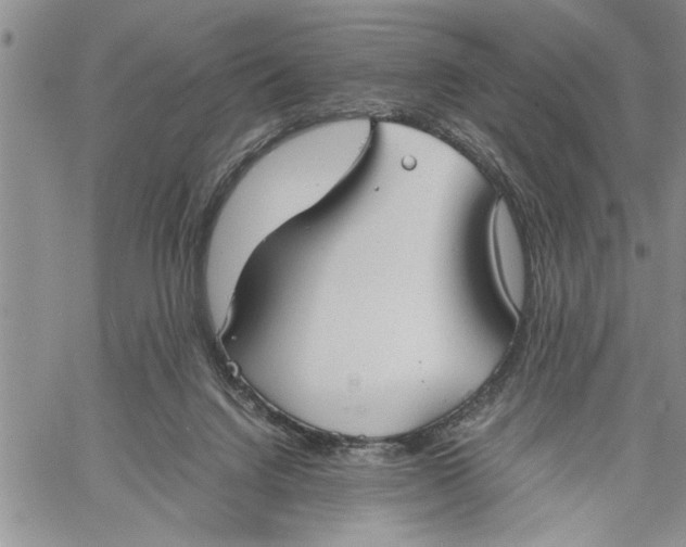 X0000060550072200511241236