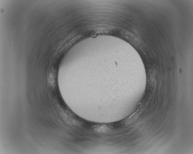 X0000060550074200511241236