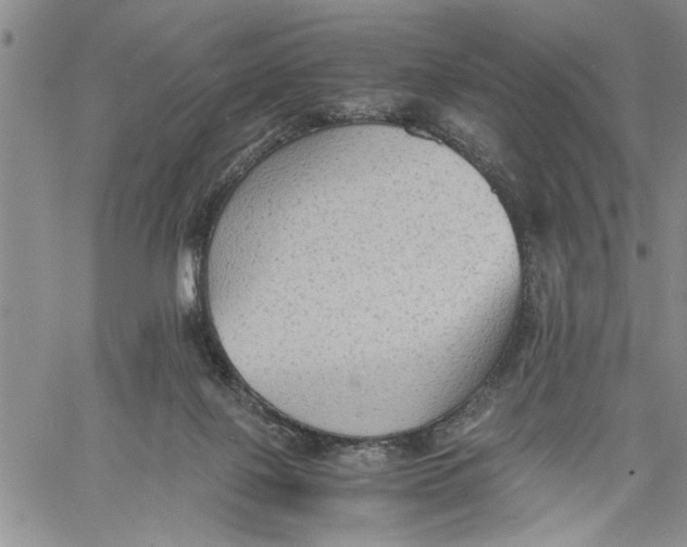 X0000060550075200511241236