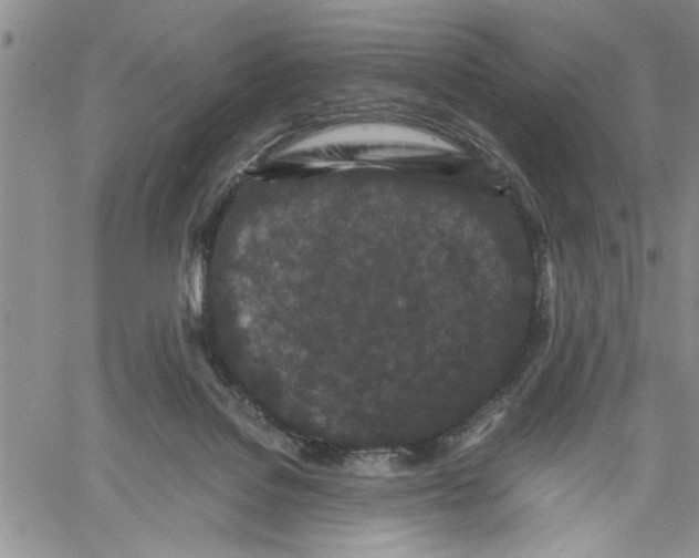 X0000060550076200511241236