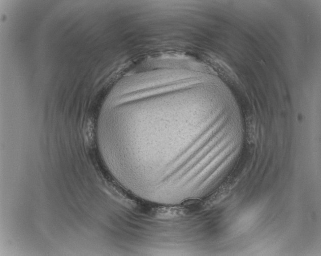 X0000060550077200511241236