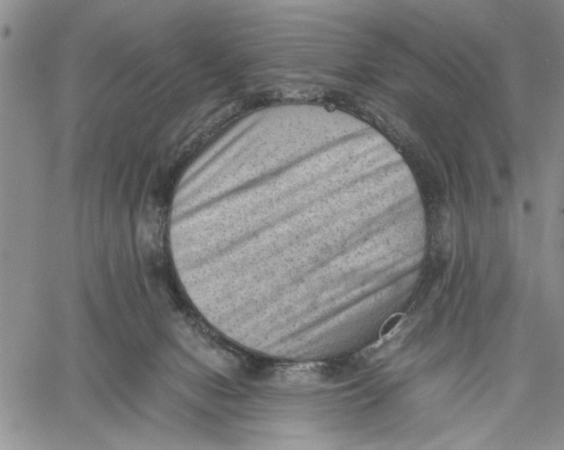 X0000060550078200511241236