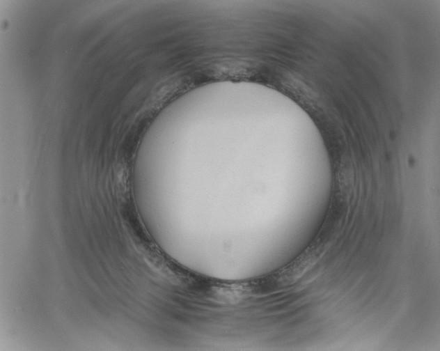 X0000060550079200511241236