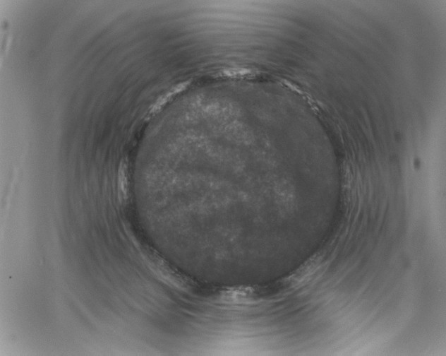 X0000060550080200511241236