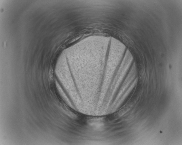 X0000060550081200511241236