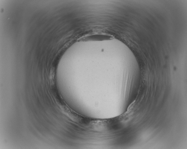 X0000060550082200511241236