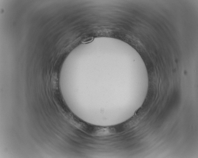 X0000060550083200511241236