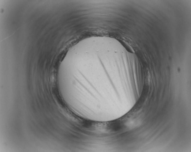 X0000060550084200511241236