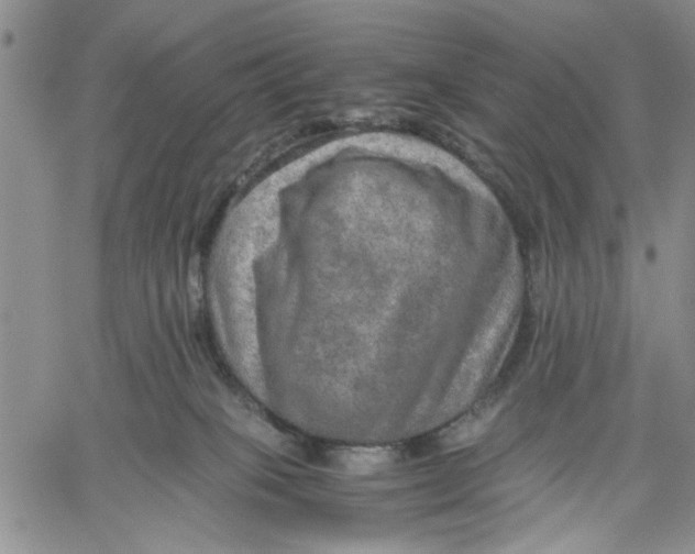 X0000060550085200511241236