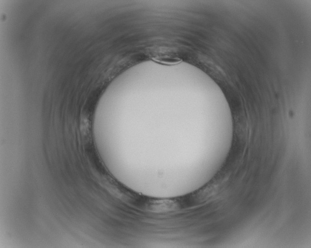 X0000060550087200511241236