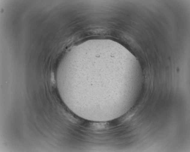 X0000060550089200511241236