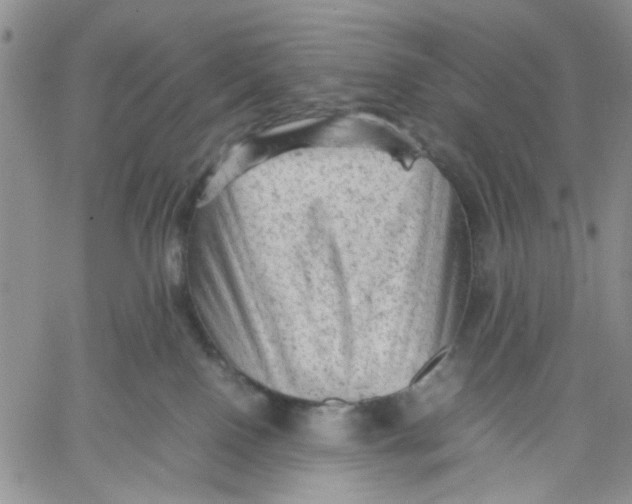 X0000060550090200511241236