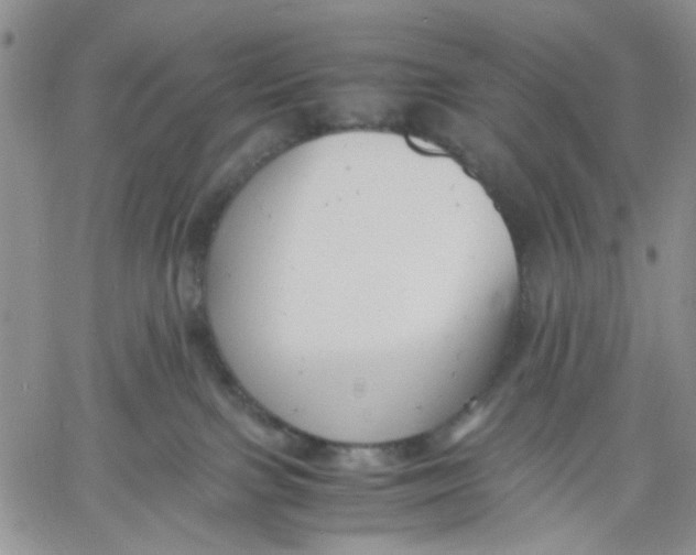 X0000060550091200511241236