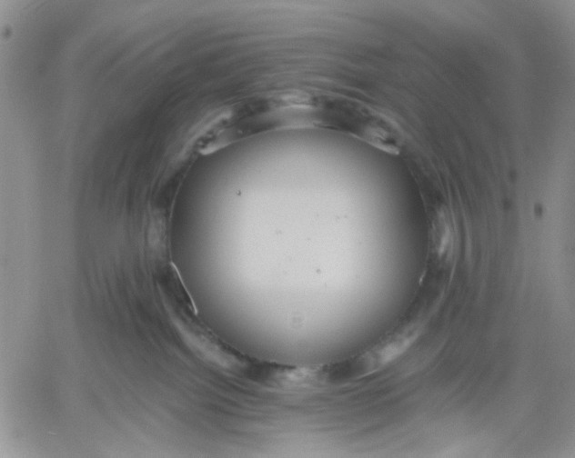 X0000060550092200511241236