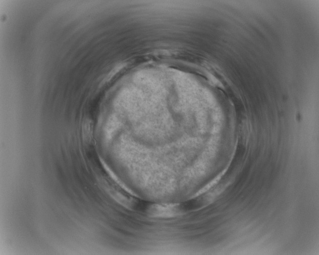 X0000060550093200511241236