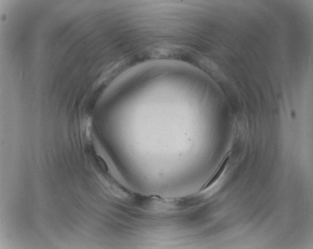 X0000060550094200511241236