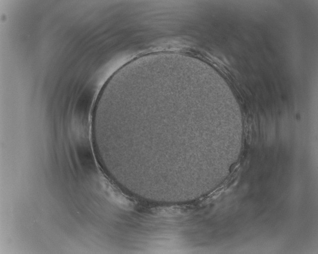 X0000060550100200511241235