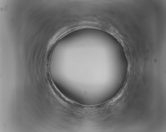 X0000060550101200511241235