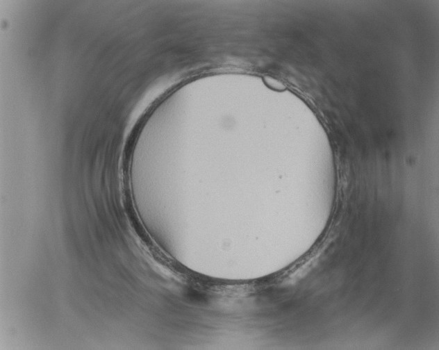 X0000060550102200511241235