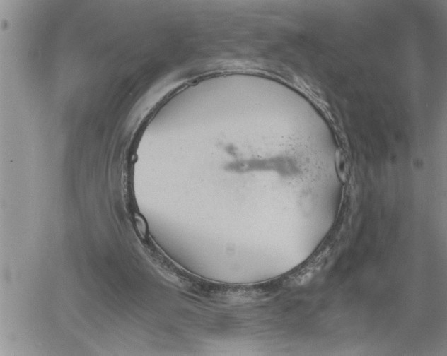 X0000060550103200511241235