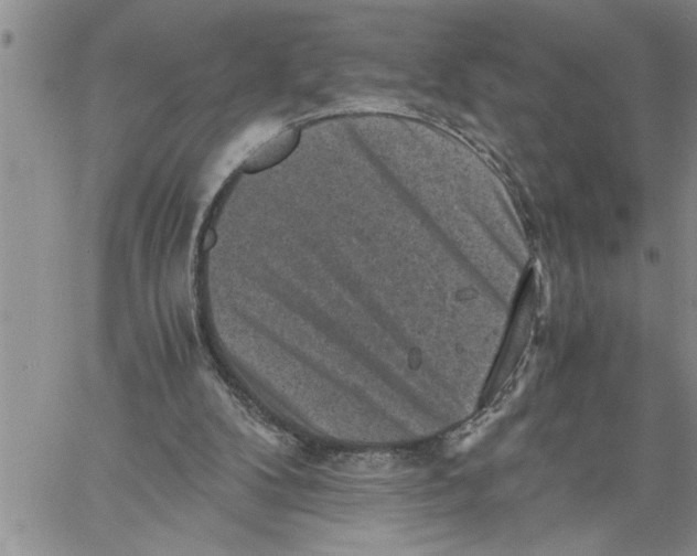 X0000060550104200511241235