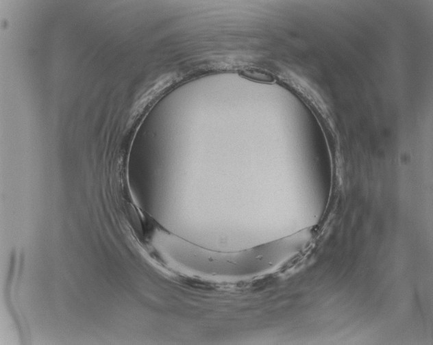 X0000060550105200511241235